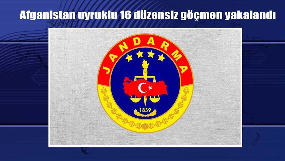 Afganistan uyruklu 16 düzensiz göçmen yakalandı