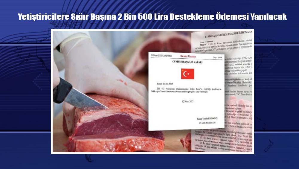 Yetiştiricilere Sığır Başına 2 Bin 500 Lira Destekleme Ödemesi Yapılacak