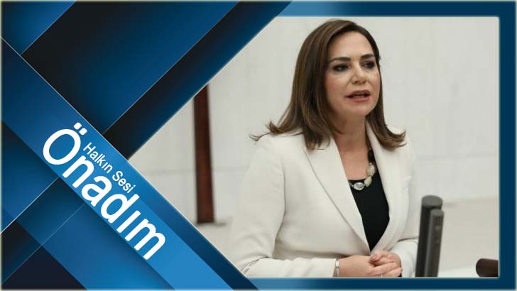 CHP’li Yüceer, kadına ve sağlık çalışanlarına yönelik şiddet kanununu eleştirdi