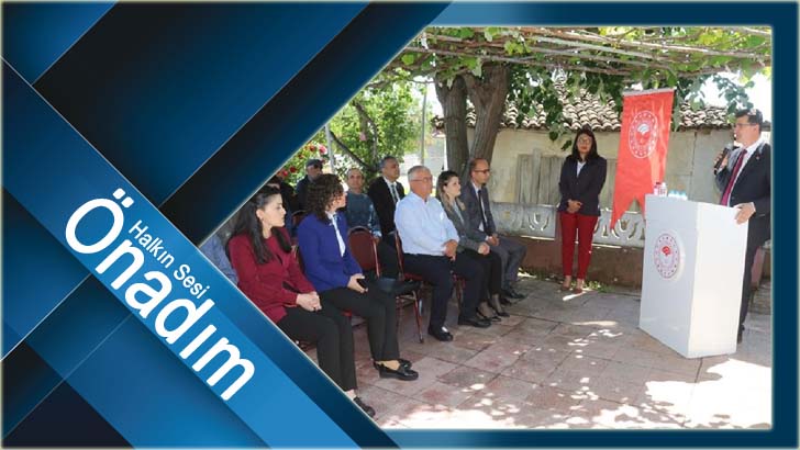 Gelelim Fasulyenin Faydalarına