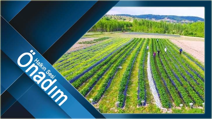 Trakya’da Sulama Sezonu Başladı
