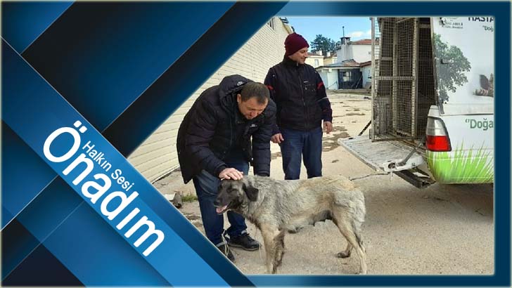 “Sokaktaki Canlarımıza Hizmet Vermeye Devam Ediyoruz”