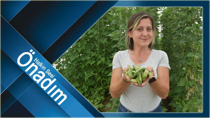 Atalık tohumlara özel bakım!