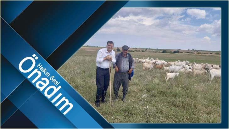 Hayvan yetiştiricilerine yüzde 50 hibe desteği