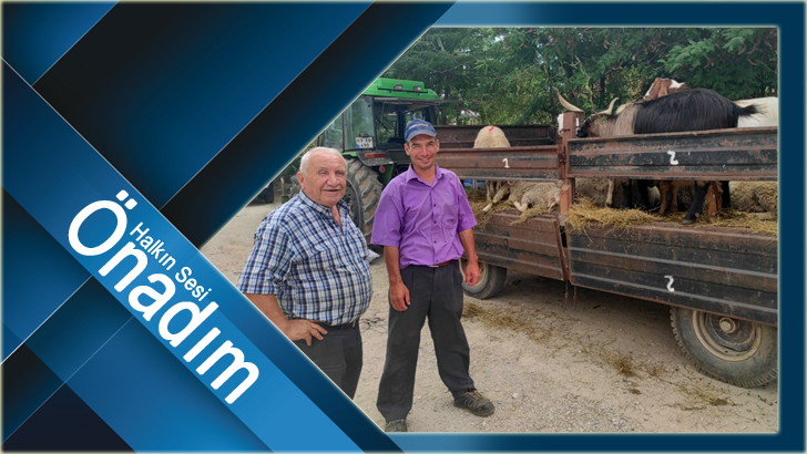Kurban Pazarında Hareketlilik Başladı