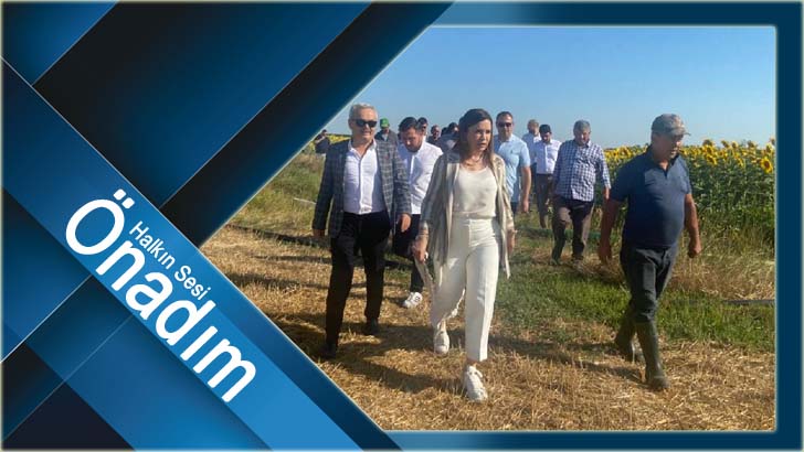 Çayır tırtılı ile mücadele sürüyor