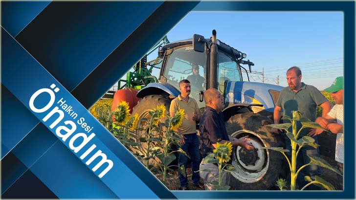 CHP Tekirdağ Vekili Aygun, Etkin İlaçlama İstedi