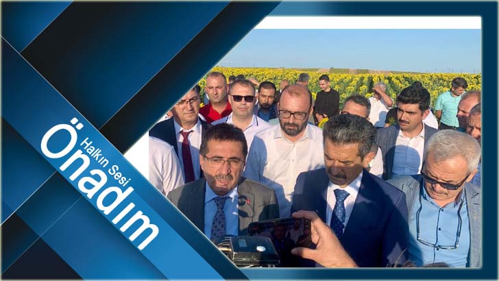 Bakan Yardımcısı Pakdil zarar gören alanları inceledi