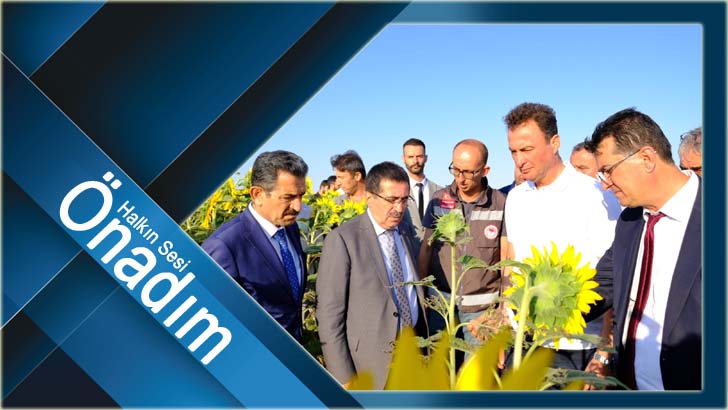Bakan Yardımcısı Pakdil; “Rekolte kaybımız olmayacak”