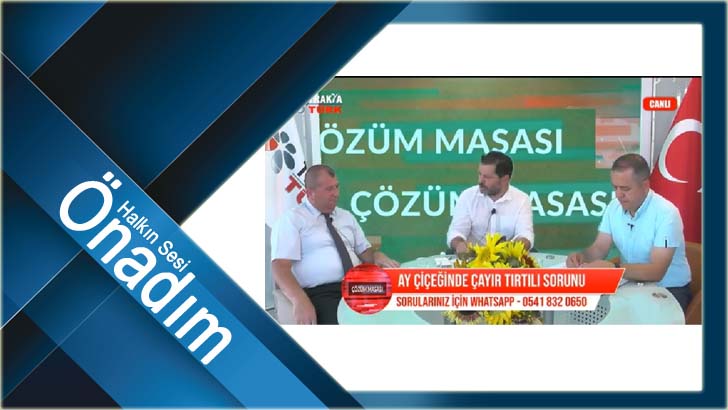 Medya Kuruluşları ‘Çayır Tırtılı’ İstilasıyla İlgili Öğretim Üyelerinden Uzman Görüşü Aldı