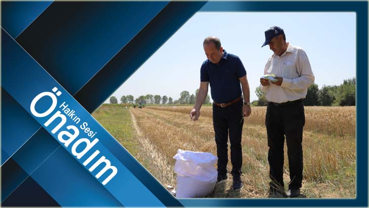 Cumhuriyet Çiftliğinde Hasat Zamanı