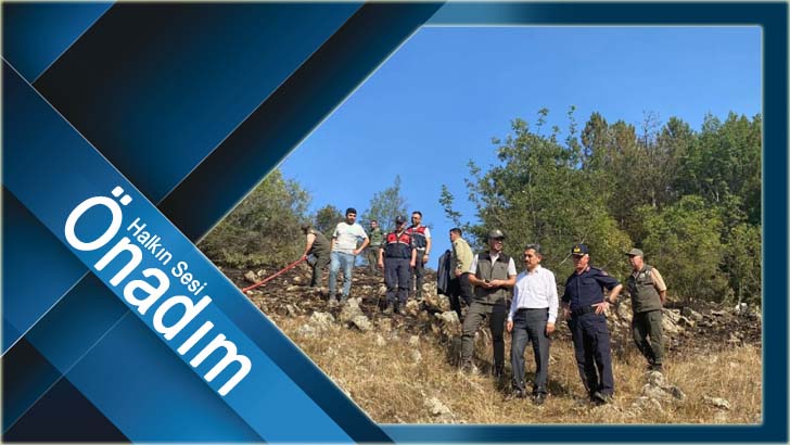 Ormanlık alanda çıkan yangın büyümeden söndürüldü
