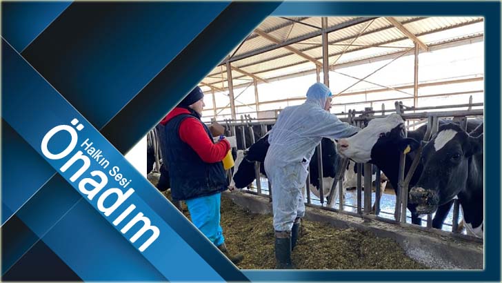 Arilikte yıl sonu hedefi 53 bin hayvan