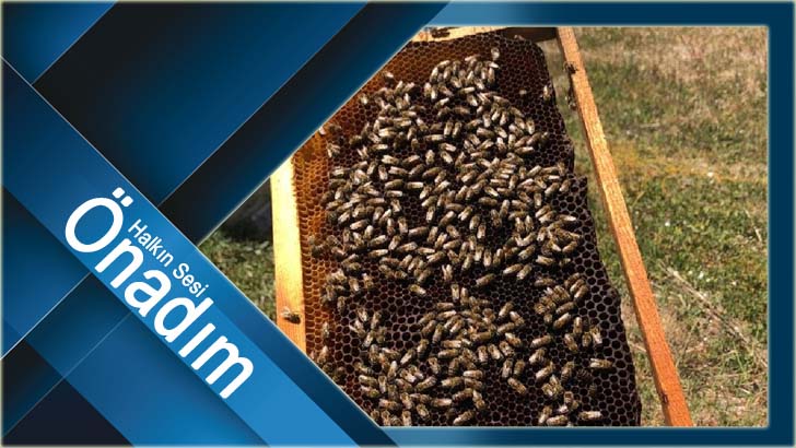 Kırsalda üretime 100 bin TL hibe