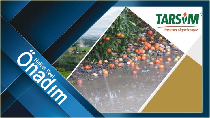 TARIMDA