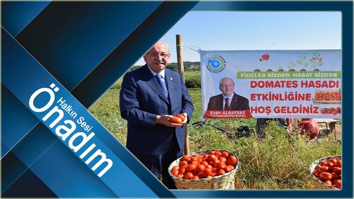 MALKARA İLÇESİ KARAİĞDEMİR MAHALLESİNDE DOMATES HASADI YAPILDI