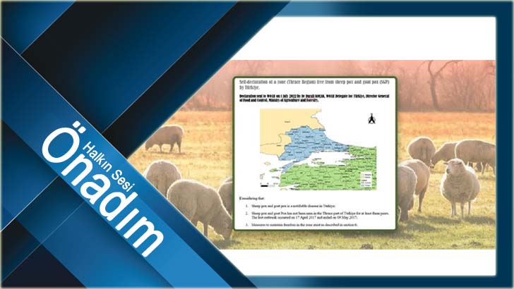 Bu duyuru Trakya’nın hayvansal ticarette önünü açacak