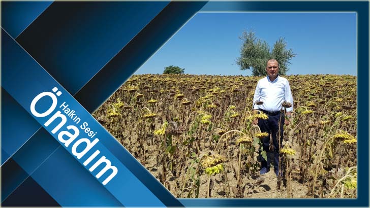 CHP MİLLETVEKİLİ AYGUN’DAN BAKAN KİRİŞCİ’YE AYÇİÇEK İÇİN TABAN FİYAT ÇAĞRISI: “AYÇİÇEKTE TABAN FİYATINI ARTIK AÇIKLAYIN”