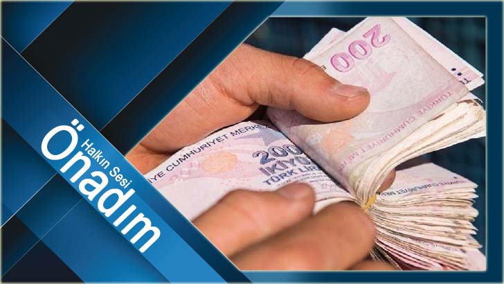 Ortak olma bahanesiyle 223 bin TL’sini dolandırdı