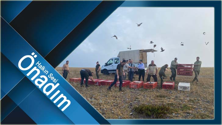 Kırklareli'nde beş yüz adet keklik doğaya salındı