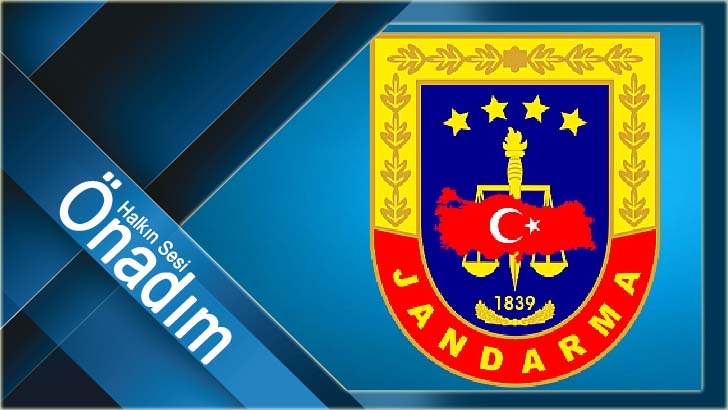 88 düzensiz göçmen yakalandı