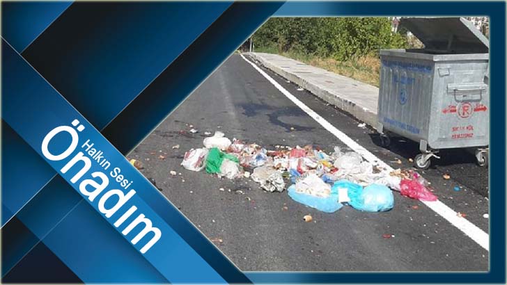 BU GÖRÜNTÜLER İSYAN ETTİRDİ