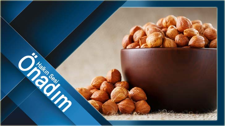 Devlet ve millet el ele verip fındığa sahip çıkmalı