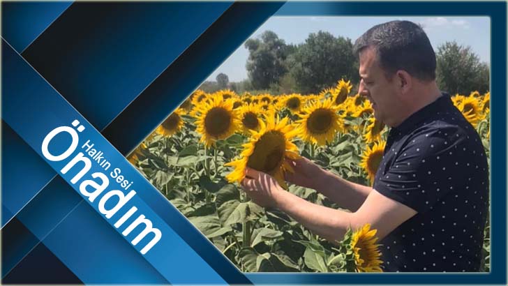 Gündoğdu, “Ayçiçeği taban fiyatları neden hala açıklanmamıştır” diye sordu