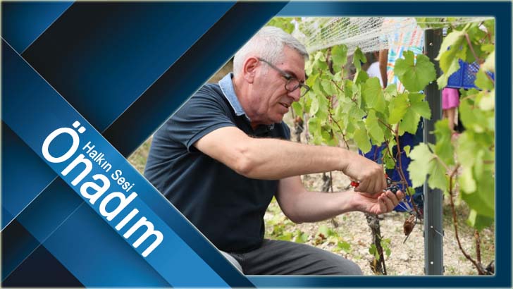 Akören Çamlıca Bağları’nda bağbozumu yapıldı