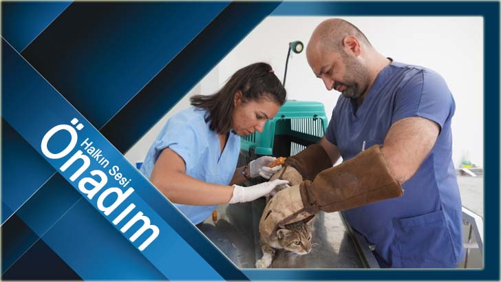 Lüleburgaz’da 481 can dostun imdadına yetiştiler!