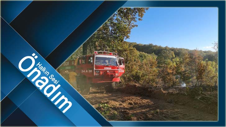 Tatlıpınar Köyünde çıkan orman yangını kısa sürede söndürüldü