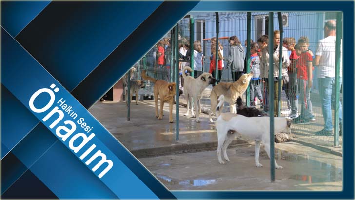ÖĞRENCİLERDEN PATİLİ DOSTLARA ZİYARET
