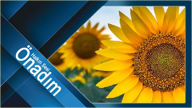 AYÇİÇEĞİ VE ÇELTİKTE DESTEKLEME EN AZ 2 LİRAYA ÇIKARILSIN