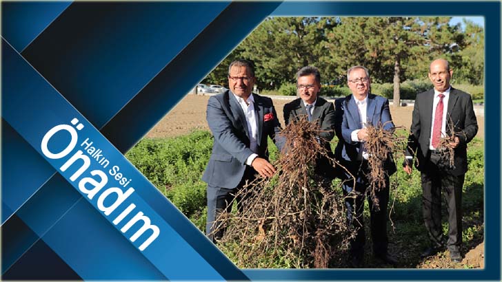 Edirne kırmızısı kök boya bitkisinin hasadı ve kumaş boyaması yapıldı