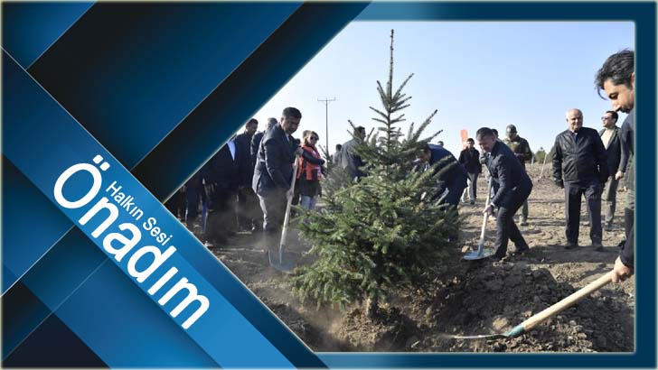 Edirne’de 32 bin fidan toprakla buluştu
