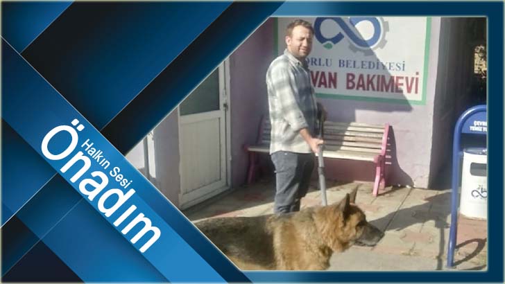 “Hayvan bakımevimiz sevimli dostlarımızın hep yanında”