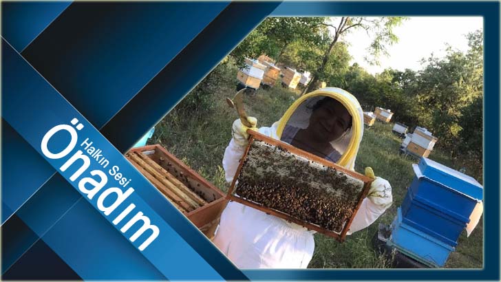 Kadın üreticiler için arıcılık kursu düzenlenecek