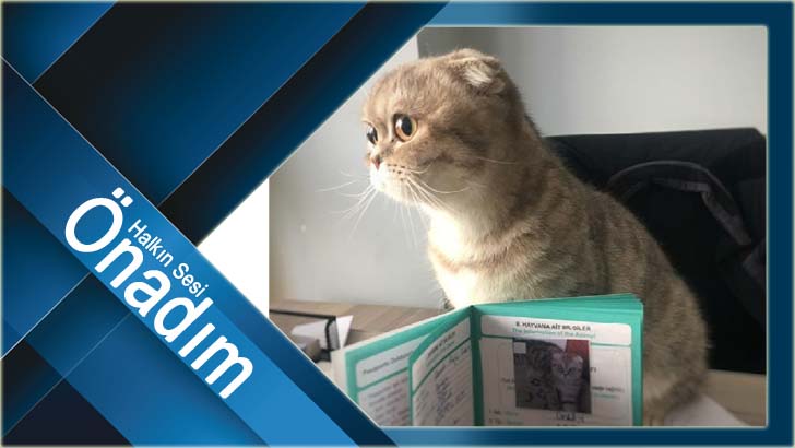 Evcil hayvanların kimliklendirilmesinde son tarih 31 Aralık