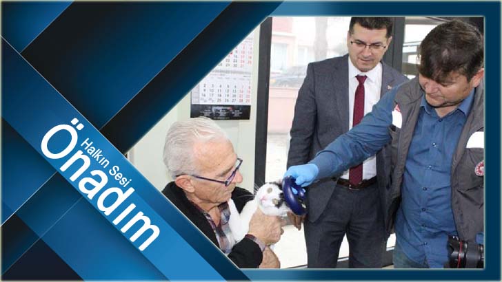 31 Aralık yaklaşırken sahipleri evcil hayvanlarını kimliklendiriyor