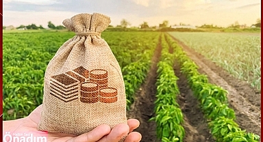 Çiftçiye Müjde! 75 Milyon 826 Bin TL Destekleme Ödemeleri Yapılacak!