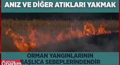 Dikkat! Hasat Sonrası Anız Yakmayın!