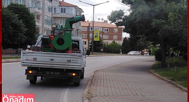 Edirne'den Sivrisinek ve Dantel Böceği Mücadelesi