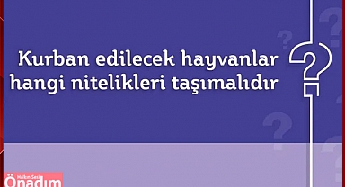 Hangi Hayvan Kurban Edilebilir? İşte Cevabı!