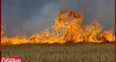 Hasat Öncesi Çiftçinin Emeğini ‘Kül Etmeyin!’