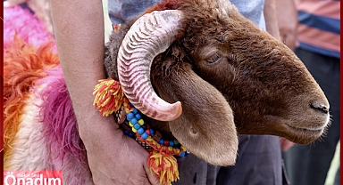 Kurban Bağışlarınızla Uzunköprü'de İhtiyaç Sahiplerine 'Aş Olun'