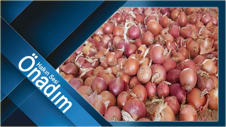 2022 yılında, fiyatı en fazla artan ürün markette ve üreticide kuru soğan oldu