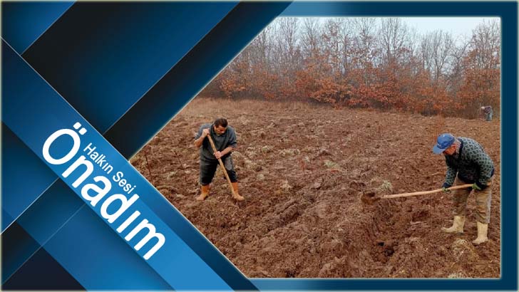 Armağan’da Ahududu ve Böğürtlen Ekimleri Tamamlandı