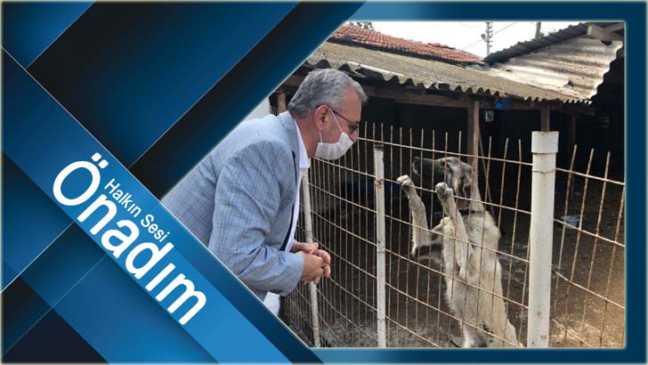 Keşan Belediyesi 2022’de 2 bin 372 can dostumuza kucak açtı