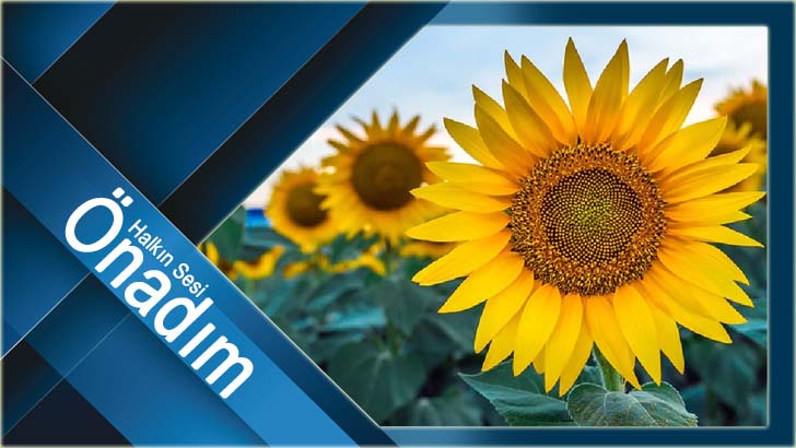 BİTKİSEL YAĞDA YENİ BİR KRİZ KAPIDA