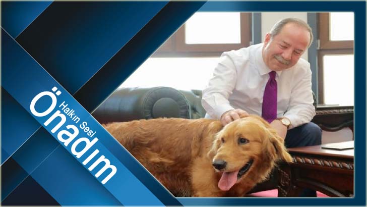 HOŞ GELDİN ŞANSLI